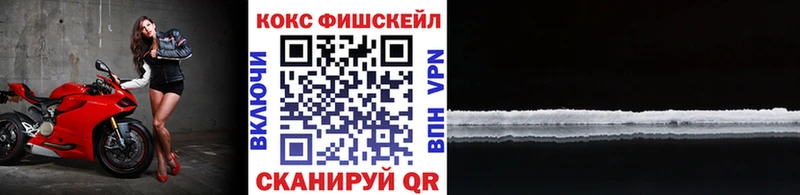 где купить наркоту  Можга  COCAIN VHQ 