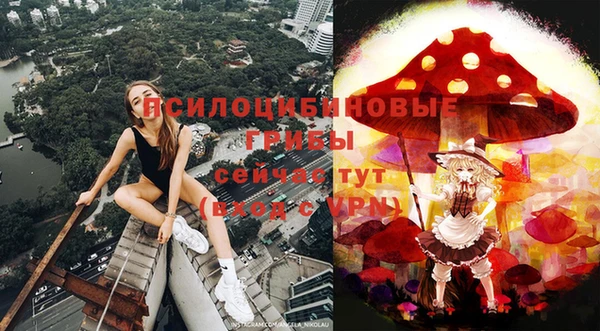 каннабис Бородино