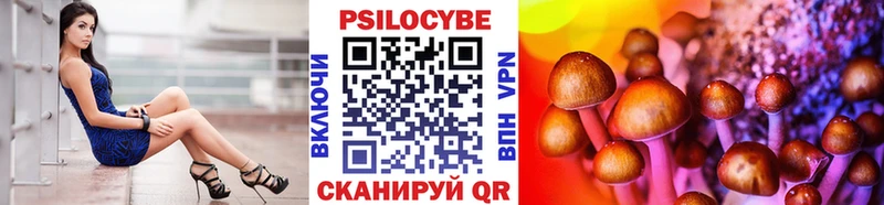 Псилоцибиновые грибы прущие грибы  KRAKEN   Можга 