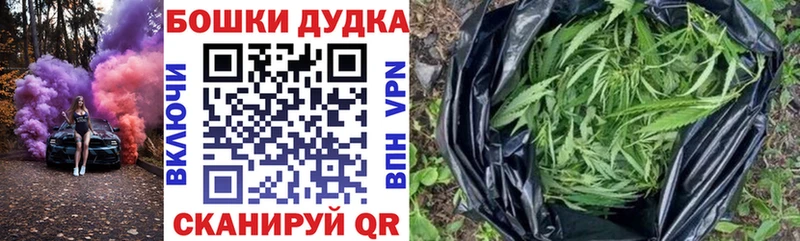 Канабис Amnesia  где купить наркоту  Можга 